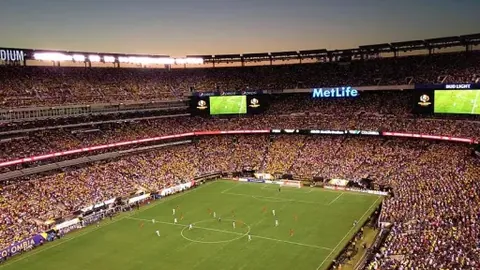 杨扬与班卡竞逐WADA主席及副主席连任，2025年4月2日