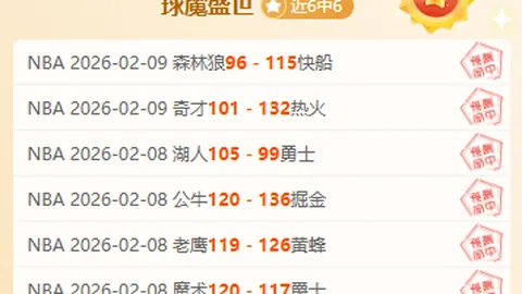 海登海姆对阵霍芬海姆，德甲副班长形势堪忧