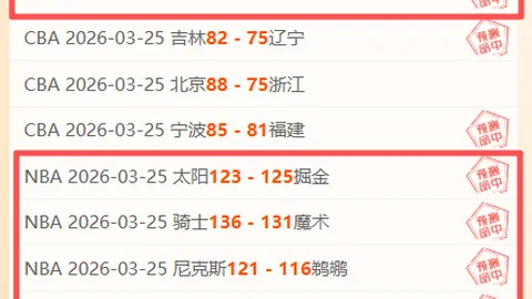 纽卡瞄准尤文后防将才加蒂，与枪手争夺佛罗伦萨前锋弗拉霍维奇