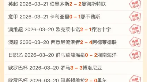 斯图加特VS弗莱堡决赛门票之争：五大联赛数据解析